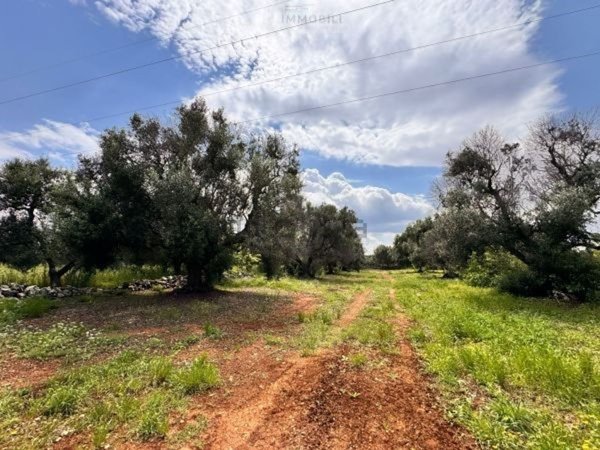 casa indipendente in vendita a Carovigno