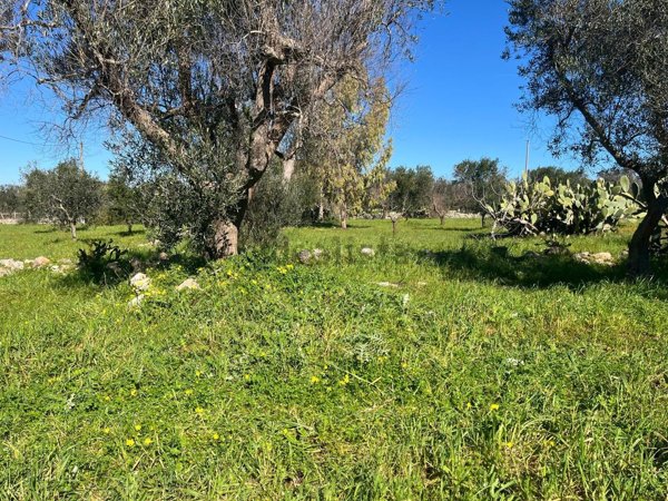 casale in vendita a Carovigno