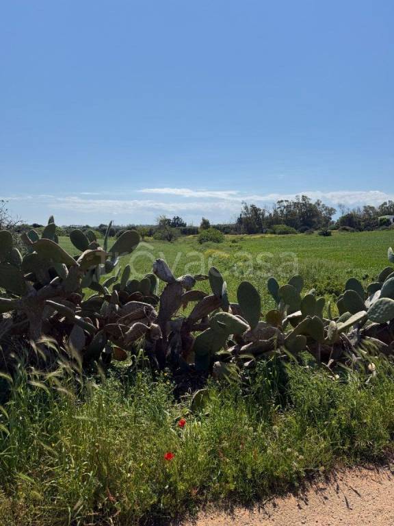 casa indipendente in vendita a Carovigno