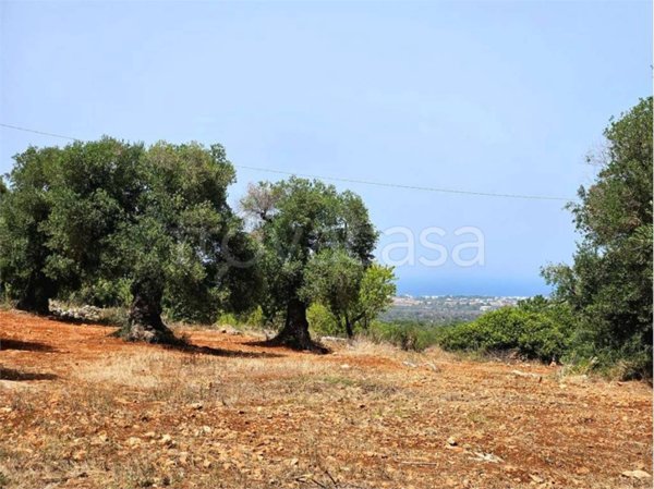 casa indipendente in vendita a Carovigno