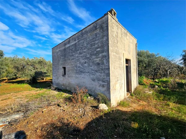 casa indipendente in vendita a Carovigno