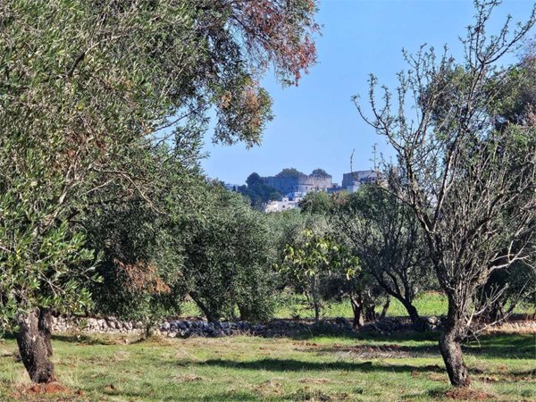 casa indipendente in vendita a Carovigno