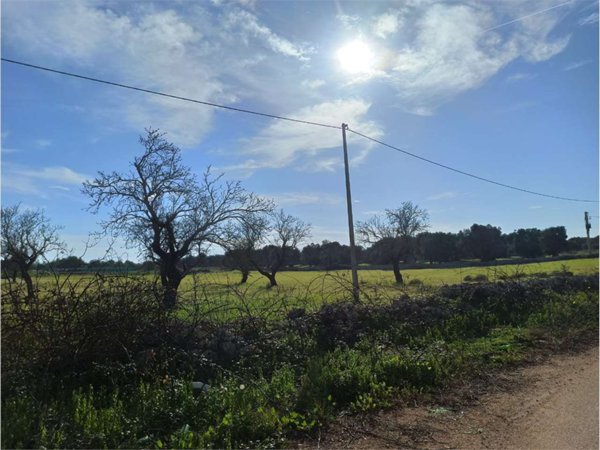 casa indipendente in vendita a Carovigno
