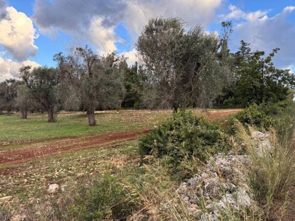 casa indipendente in vendita a Carovigno
