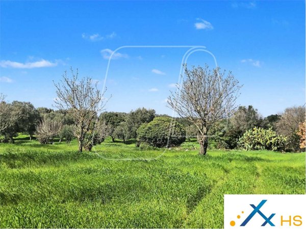 casa indipendente in vendita a Carovigno