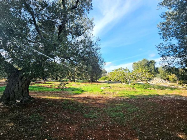 casa indipendente in vendita a Carovigno