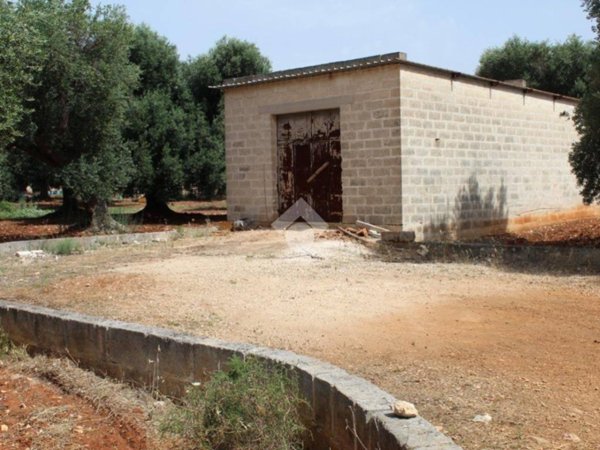 casa indipendente in vendita a Carovigno