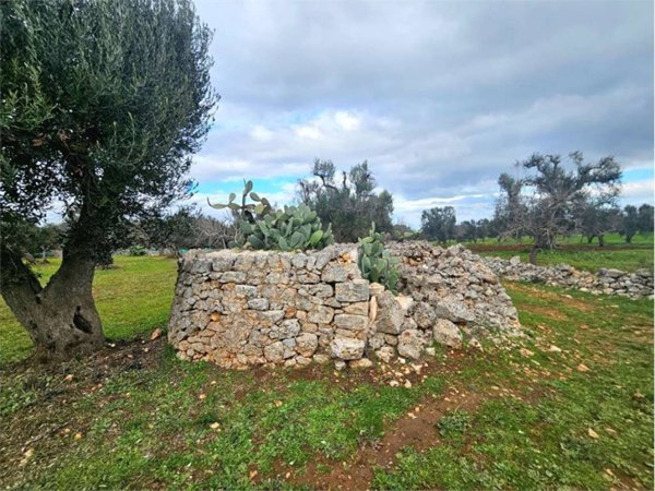 terreno agricolo in vendita a Carovigno