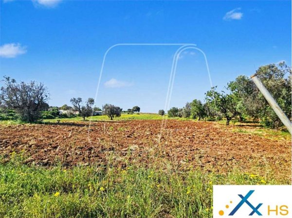casa indipendente in vendita a Carovigno in zona Serranova