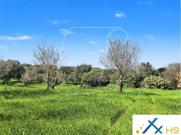 casa indipendente in vendita a Carovigno