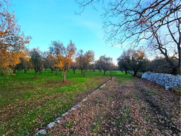 terreno agricolo in vendita a Carovigno