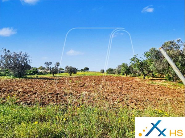 casa indipendente in vendita a Carovigno in zona Serranova