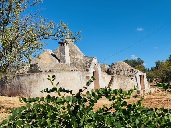 esavano in vendita a Carovigno