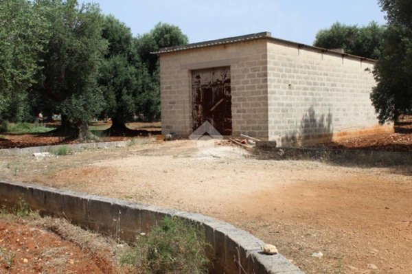 casa indipendente in vendita a Carovigno