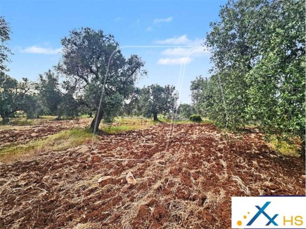 casa indipendente in vendita a Carovigno