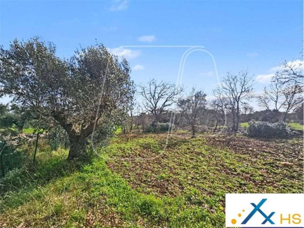 terreno agricolo in vendita a Carovigno