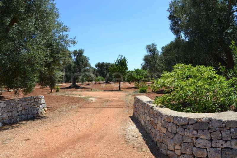 terreno agricolo in vendita a Carovigno