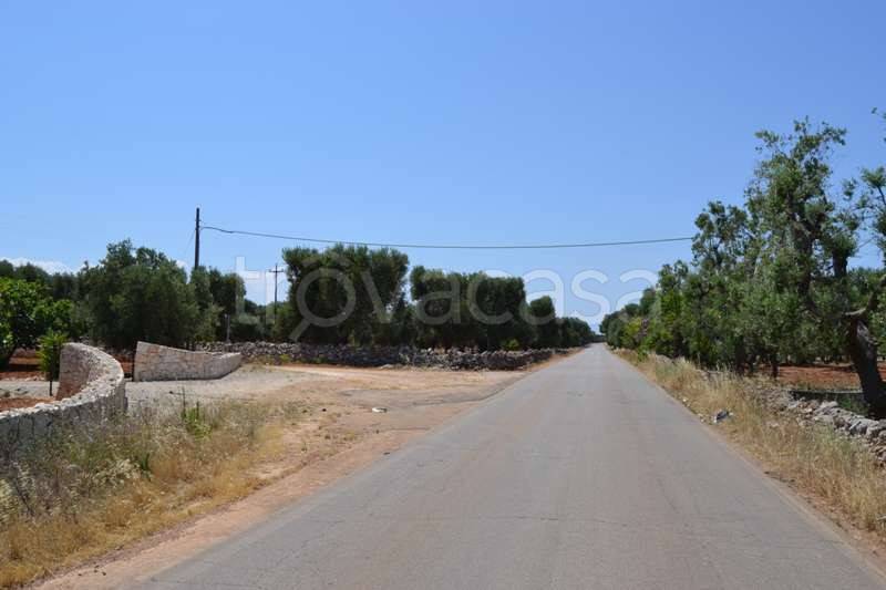 terreno agricolo in vendita a Carovigno