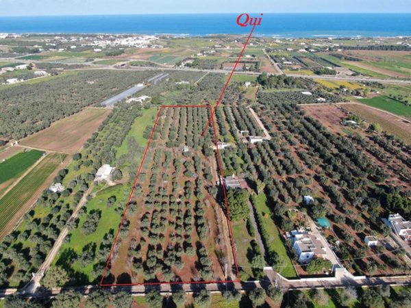 casa indipendente in vendita a Carovigno