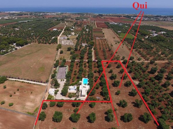 casa indipendente in vendita a Carovigno