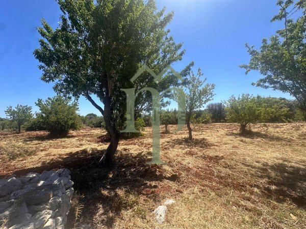 appartamento in vendita a Carovigno