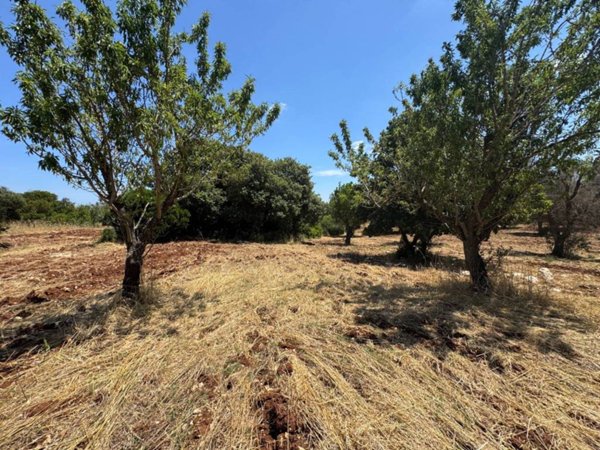 casa indipendente in vendita a Carovigno