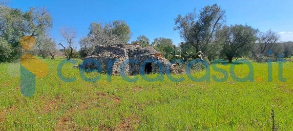 casa indipendente in vendita a Carovigno