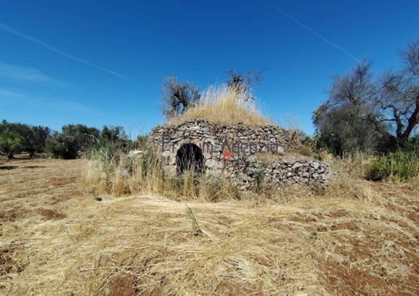 appartamento in vendita a Carovigno