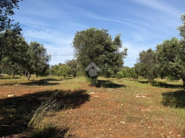 casa indipendente in vendita a Carovigno in zona Serranova