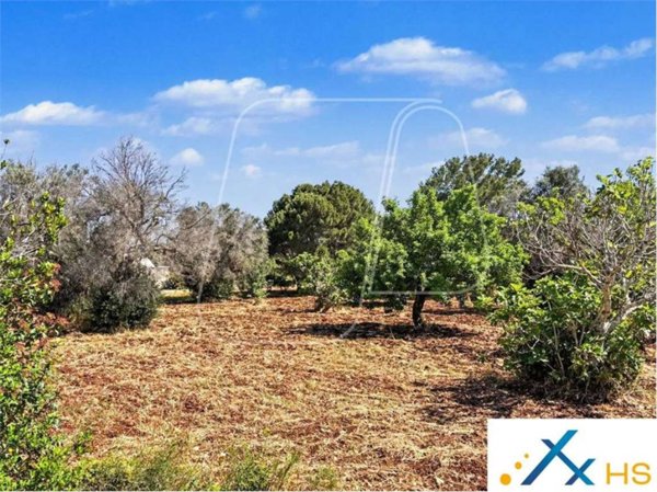 casa indipendente in vendita a Carovigno