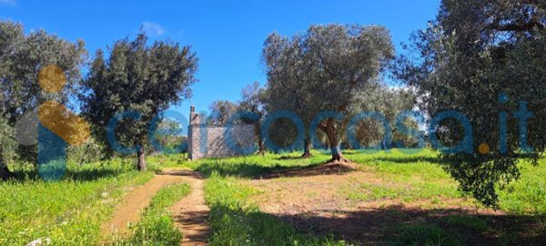 casa indipendente in vendita a Carovigno in zona Serranova