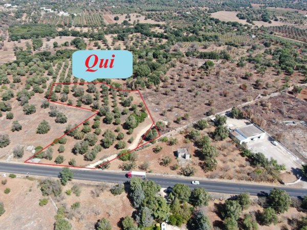 casa indipendente in vendita a Carovigno in zona Serranova