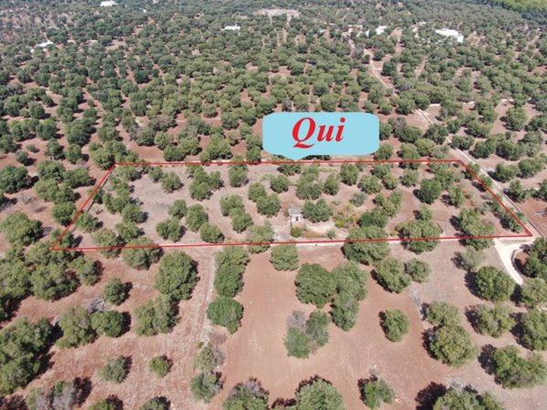 casa indipendente in vendita a Carovigno in zona Serranova