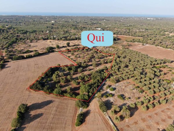 casa indipendente in vendita a Carovigno in zona Serranova