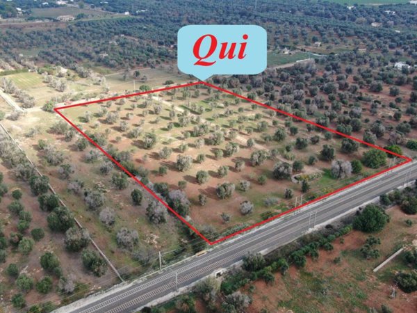 casa indipendente in vendita a Carovigno in zona Serranova