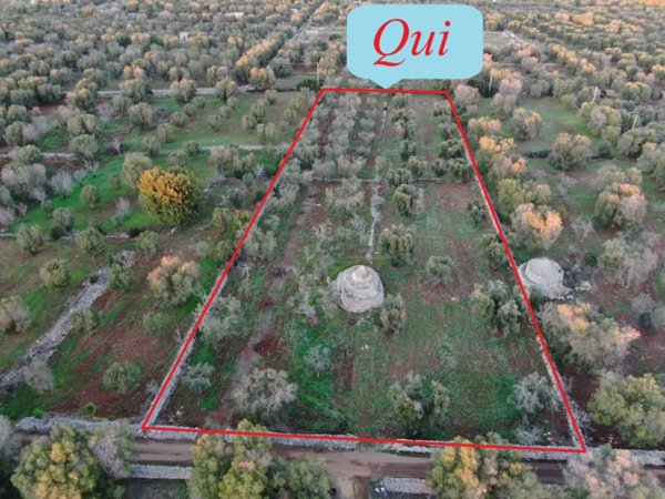 casa indipendente in vendita a Carovigno in zona Serranova