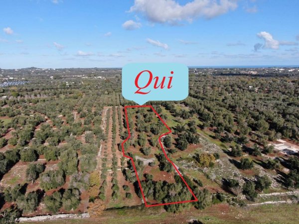 casa indipendente in vendita a Carovigno in zona Serranova