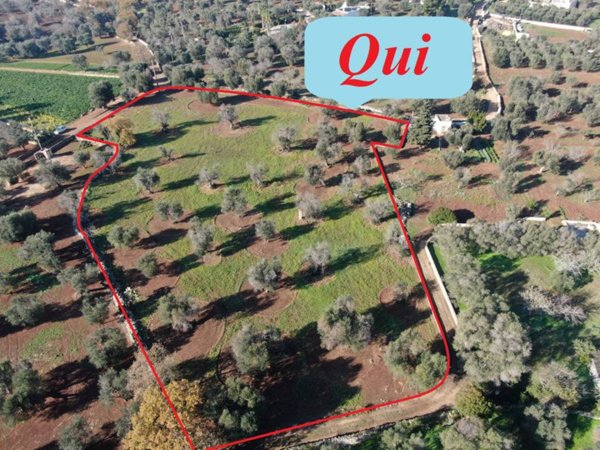 casa indipendente in vendita a Carovigno in zona Serranova