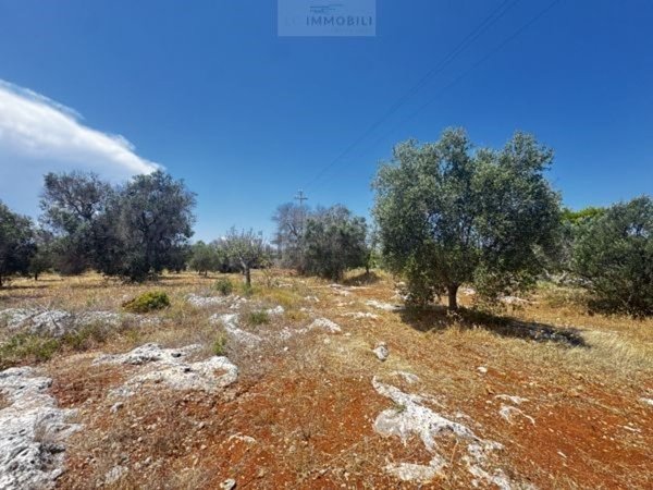 casa indipendente in vendita a Carovigno in zona Serranova