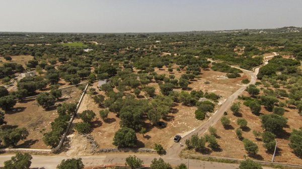 terreno edificabile in vendita a Carovigno in zona Serranova