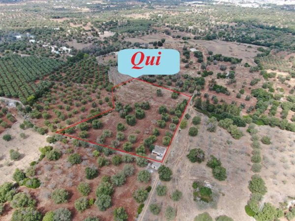 casa indipendente in vendita a Carovigno in zona Serranova
