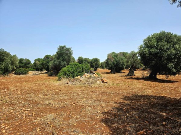 casa indipendente in vendita a Carovigno in zona Serranova