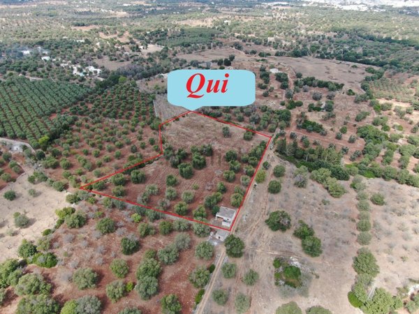 appartamento in vendita a Carovigno in zona Serranova
