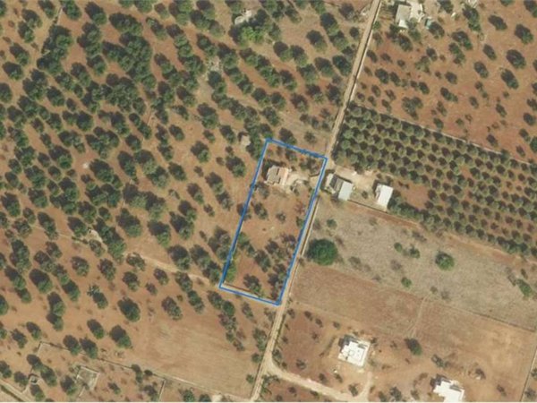 casa indipendente in vendita a Carovigno in zona Serranova