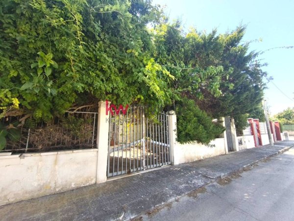 casa indipendente in vendita a Carovigno in zona Torre Santa Sabina