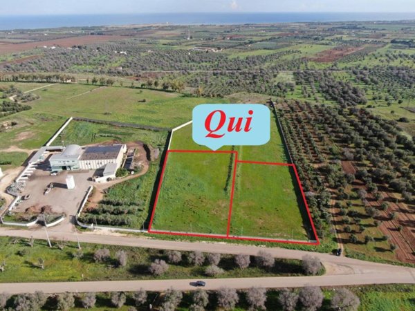 casa indipendente in vendita a Carovigno in zona Serranova