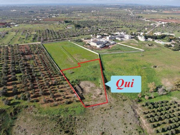 casa indipendente in vendita a Carovigno in zona Serranova