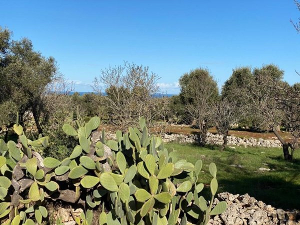 casa indipendente in vendita a Carovigno in zona Serranova