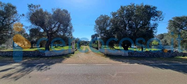 casa indipendente in vendita a Carovigno in zona Serranova