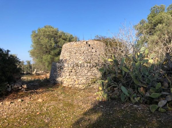 terreno in vendita a Carovigno